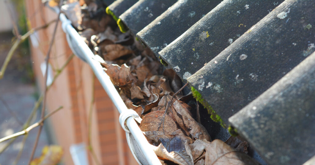 Can Clogged Gutters Lead to Ceiling Leaks?